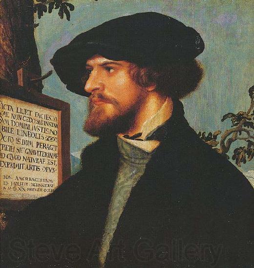 Hans holbein the younger Portrait of Bonifacius Amerbach Spain oil painting art